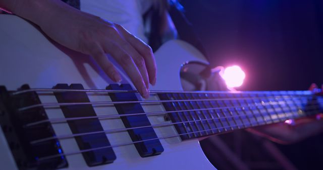 Musician playing bass guitar under stage lights - Download Free Stock Images Pikwizard.com