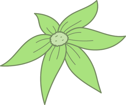 stylized green five-petal flower on transparent background - Download Free Stock Videos Pikwizard.com