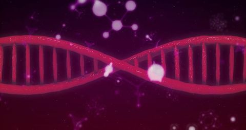 Stylized Red DNA Helix on Purple Science Background