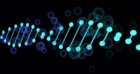 glowing dna strand on black background with digital bubbles - Download Free Stock Images Pikwizard.com