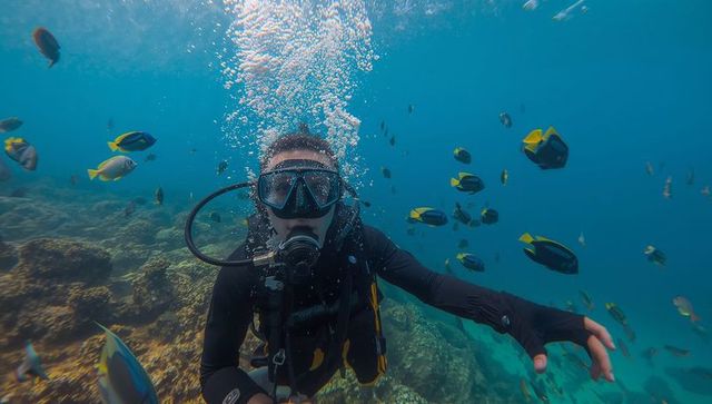 Scuba Diver Experiencing Marine Life in Tropical Waters