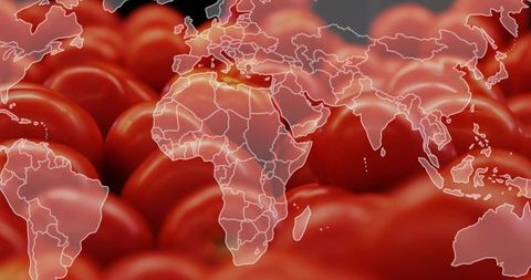 Connecting global food supply using world map overlay on ripe tomatoes