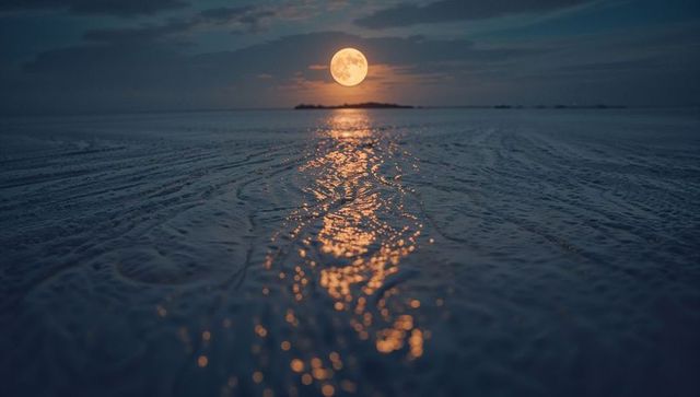 Full Moon Casting Golden Glow on Tranquil Night Beach