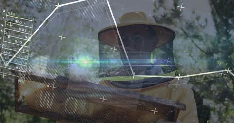 Beekeeper inspecting hive frame with data overlay for smart agriculture, pollination