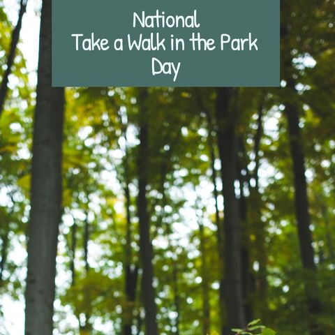 celebrating national take a walk in the park day in lush green forest - Download Free Stock Templates Pikwizard.com