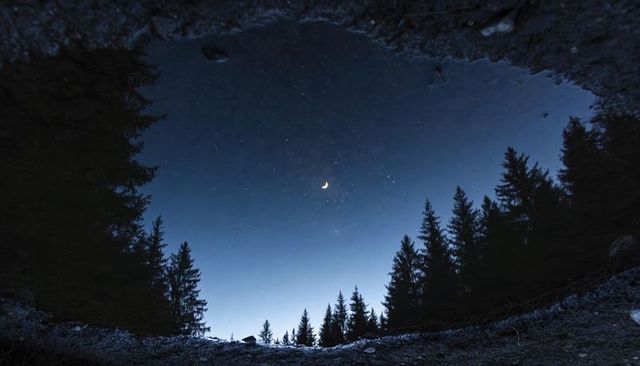Crescent moon reflecting in forest pool over calm water with starry sky and conifer silhouettes
