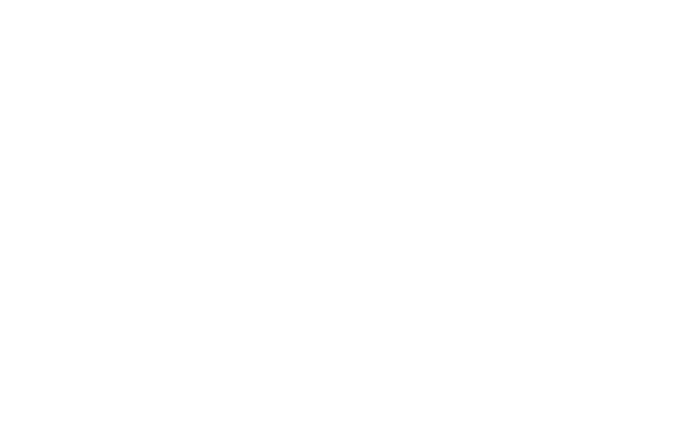 Silhouette of Athlete Lifting Weights on Transparent Background - Download Free Stock Videos Pikwizard.com