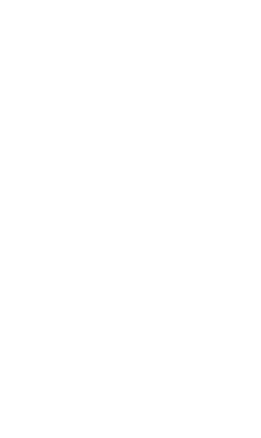 Transparent Silhouette of an American Football Player on Transparent Background - Download Free Stock Videos Pikwizard.com