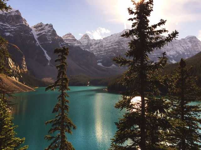 This imagery features a breathtakingly scenic mountain lake surrounded by evergreen trees with clear blue skies, managing to capture the tranquility of nature. Ideal for travel websites, environmental campaigns, nature blogs, exploration themes, promotional materials for hiking or outdoor activities, and backgrounds for relaxation content.