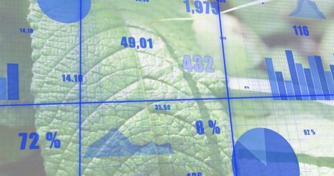 Displaying green leaf with blue data overlay showing charts percentages and hud graphics