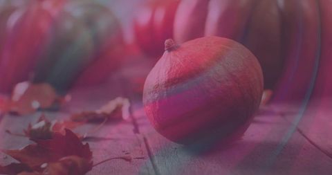 Resting small pumpkin on rustic wood with dried leaves and soft pink light flare, autumn closeup