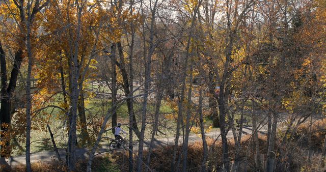 Individual cycling through park with brilliant autumn leaves. Useful for outdoor recreation brochures, nature articles, or park promotion materials. Ideal for seasonal advertising and content showcasing vibrant fall colors and active lifestyle.