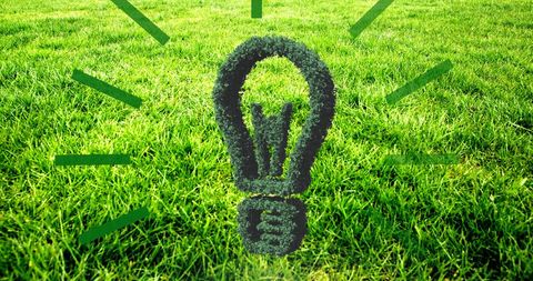 Eco-Friendly Green Lightbulb on Lush Grass Field - Download Free Stock Images Pikwizard.com