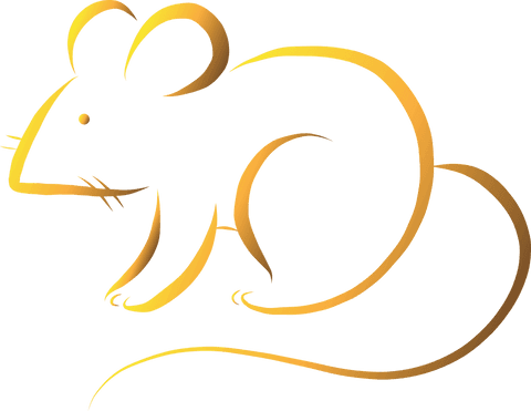 golden mouse line art on transparent background - Download Free Stock Videos Pikwizard.com