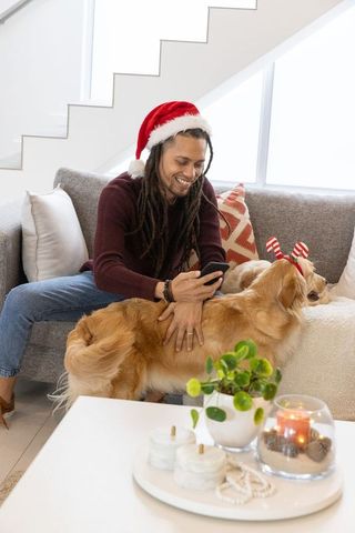Smiling man wearing santa hat petting golden retriever while using smartphone at cozy home