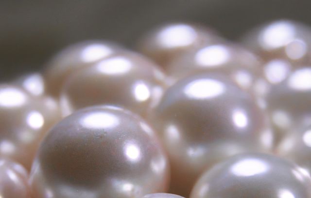 Close up of pearls created using generative ai technology - Download Free Stock Photos Pikwizard.com