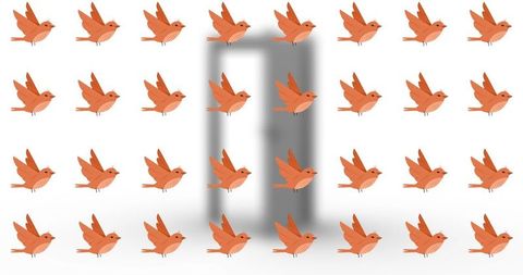 Pattern of Orange Birds Over Modern Doorway Imagery