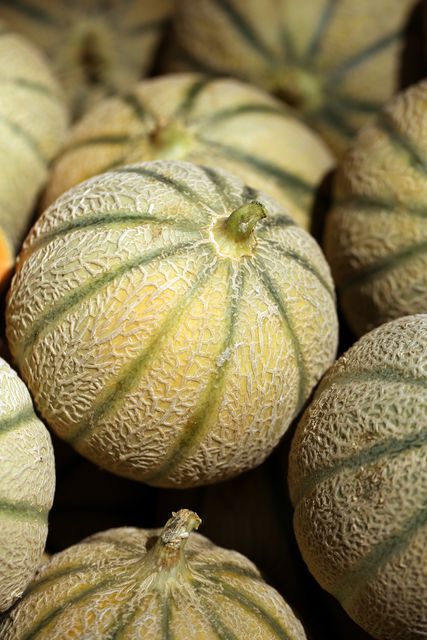 Group of healthy whole cantaloupe melons with detailed textured rinds. Ideal for use in articles, blogs, websites, or advertisements focusing on fresh produce, organic food, farming, healthy eating, and markets.