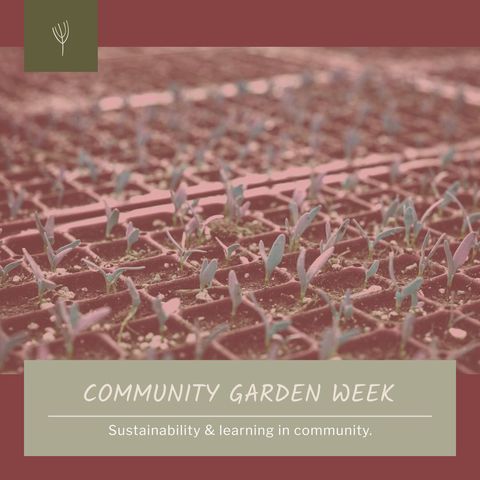 community garden week promoting sustainable cultivation - Download Free Stock Templates Pikwizard.com
