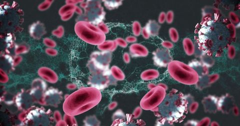 COVID-19 Particles and Red Blood Cells Surrounding Human Brain - Download Free Stock Images Pikwizard.com