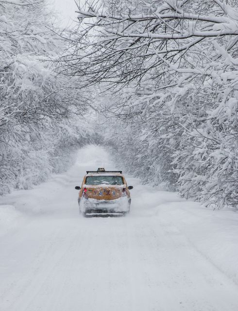 Car Driving on Snow-Covered Forest Road in Winter - Download Free Stock Photos Pikwizard.com