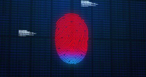 Digital Fingerprint Authentication on Cyber Network - Download Free Stock Images Pikwizard.com