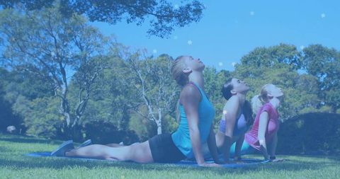Yoga Enthusiasts Practicing Poses Outdoors in Peaceful Park