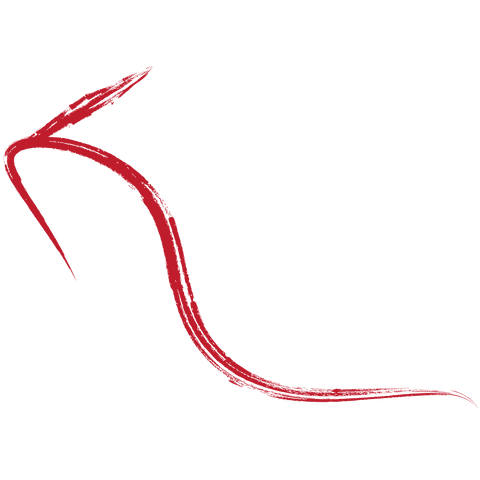 artistic red curved arrows on transparent background - Download Free Stock Videos Pikwizard.com