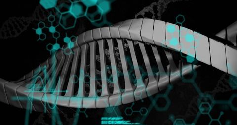 Digital Rendering of DNA Molecule with Scientific Data Overlays - Download Free Stock Images Pikwizard.com