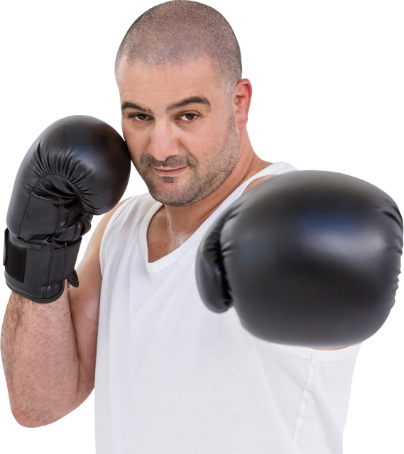 Confident Boxer Performing Upright Stance in Boxing Gloves on Transparent Background - Download Free Stock Videos Pikwizard.com