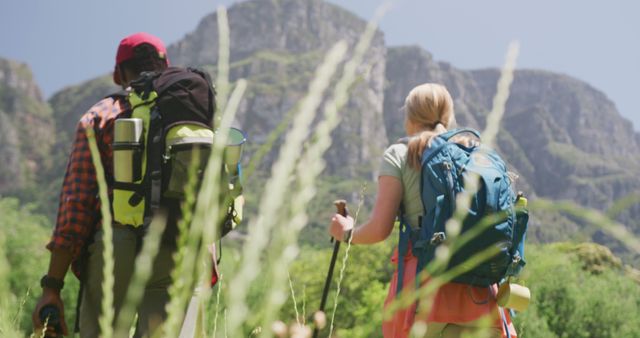 Backpackers Hiking Through Lush Mountain Landscape - Download Free Stock Images Pikwizard.com