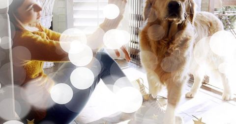 Sitting Woman Reaching Golden Retriever by Sunlit Sliding Door with Festive Bokeh