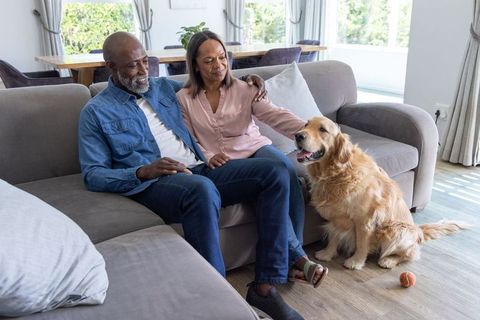 Mature couple relaxing with golden retriever on gray sectional sofa in sunlit living room