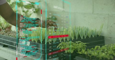Researcher adjusting seedling trays while monitoring AR data overlays for smart agriculture