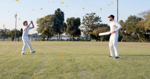 Two cricketers practicing batting and catching on sunlit grass field with golden confetti