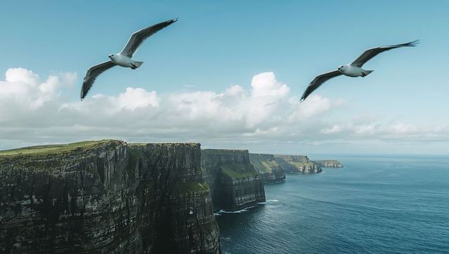 Seagulls Soaring Over Dramatic Sea Cliffs Plunging Into Deep Blue Ocean Horizon