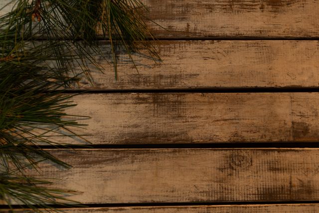Rustic Wooden Background with Pine Branches - Download Free Stock Photos Pikwizard.com