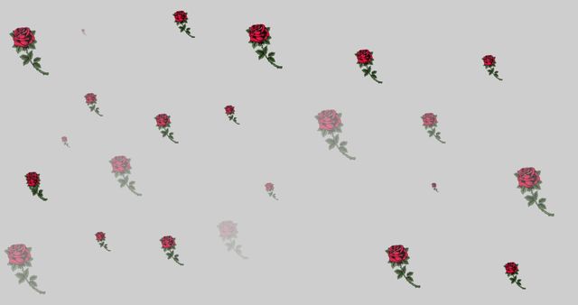 Red Roses Floating in Hypnotic Motion on Grey Background - Download Free Stock Images Pikwizard.com