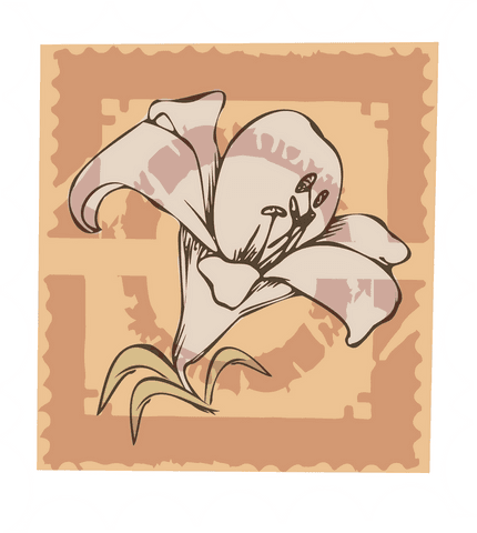 stylized floral lily blossom on vintage scalloped design - Download Free Stock Videos Pikwizard.com