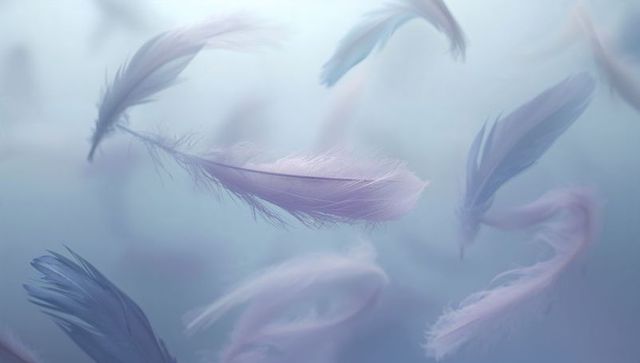 Lavender feathers floating and drifting in soft pastel mist ethereal abstract background