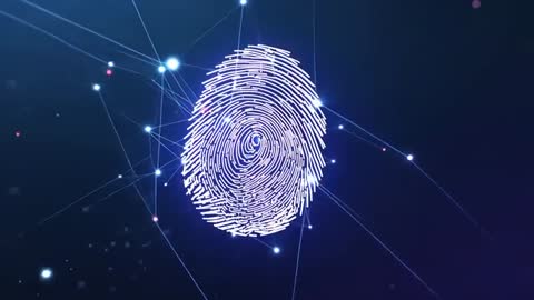 Digital Fingerprint Animation in Cybernetic Environment