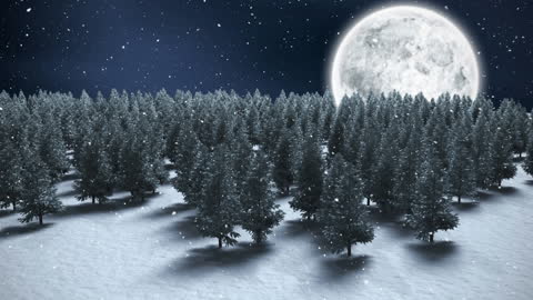 Winter Night Forest with Falling Snow and Full Moon