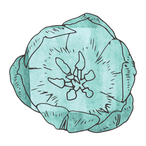 transparent blue flower vector illustration with detailing - Download Free Stock Videos Pikwizard.com