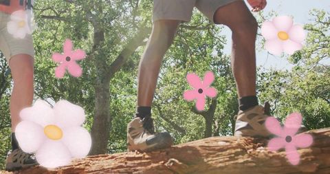 Balancing on fallen log while hiking: sunlit forest trail with pink floral overlays