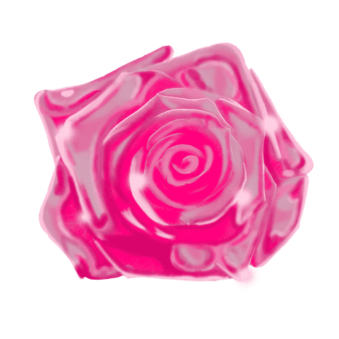 Stylized glowing pink rose with spiral petals on transparent background