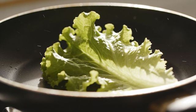Fresh green lettuce leaf resting in nonstick skillet with backlit droplets closeup
