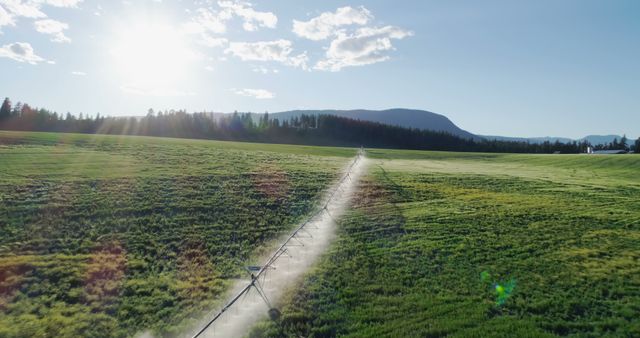 An aerial view captures an irrigation system spraying water across a large expanse of farmland under the setting sun. The green fields stretch into the distance with mountains in the backdrop and a clear sky. This visual depicts modern farming technology, rural landscapes, and agricultural efficiency. Ideal for use in agricultural technology promotions, environmental sustainability campaigns, farming articles, and countryside landscape projects.
