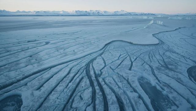 Fractured polar ice shelf revealing melt channels, crevasses and calving near peaks