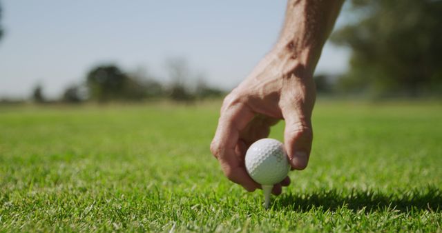 Close-up view of a golfer's hand placing a golf ball on a tee on a sunlit fairway. Ideal for articles, websites, or promotions related to golf, outdoor sports, or recreational activities. Can be used in sport equipment advertisements or golfing technique guides.