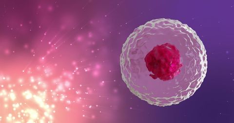 Microscopic View of Human Cells in Vibrant Background